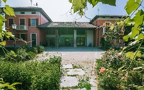 In Viridi